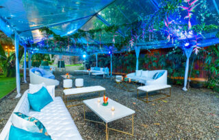 couches and decor