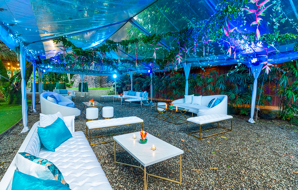 couches and decor