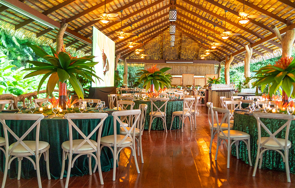 chairs and decor