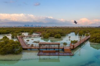 Jubail Mangrove Park